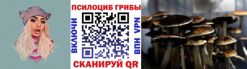 Галлюциногенные грибы ЛСД закладки Хабаровск